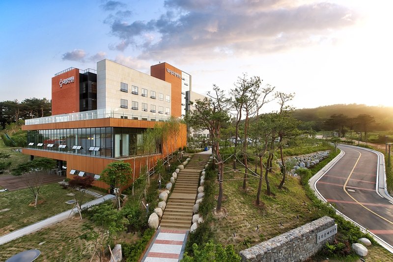 대정 병원 인테리어